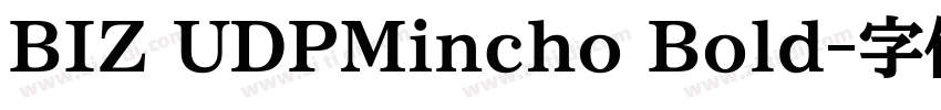 BIZ UDPMincho Bold字体转换